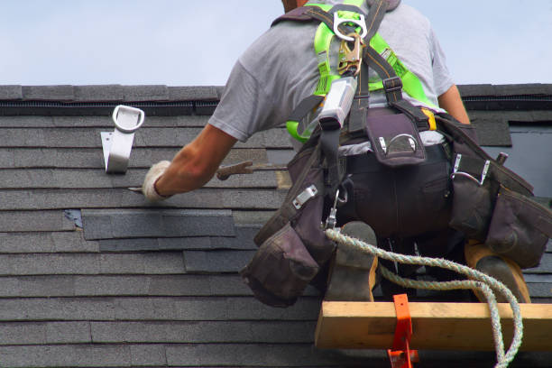 Best Flat Roof Repair Services  in New London, MN