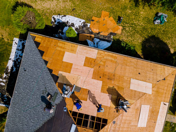 Best Residential Roofing Contractor  in New London, MN