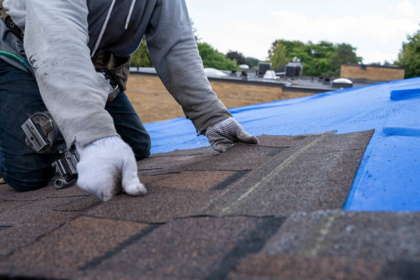 Roof Waterproofing Services in New London, MN