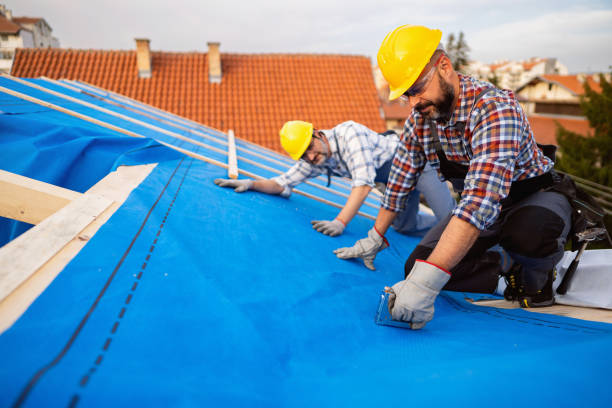 Best Metal Roofing Contractor  in New London, MN