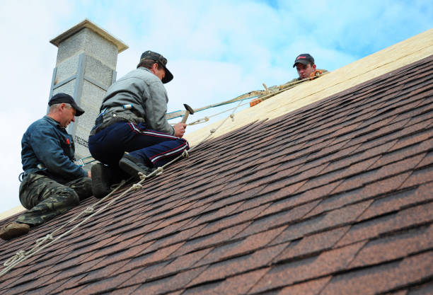 Best Roof Replacement Cost  in New London, MN